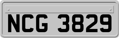 NCG3829