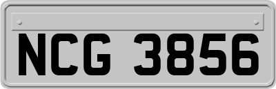 NCG3856