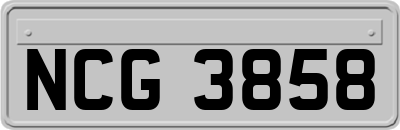 NCG3858