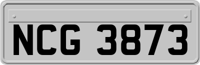 NCG3873