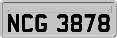 NCG3878
