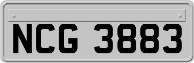 NCG3883