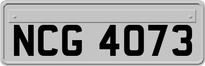 NCG4073