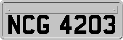NCG4203