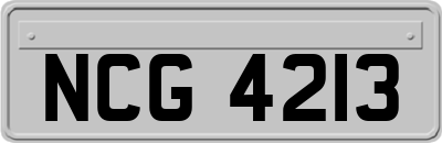 NCG4213