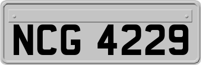 NCG4229