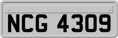 NCG4309