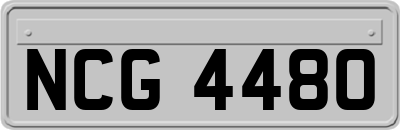 NCG4480