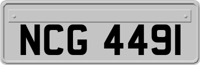NCG4491