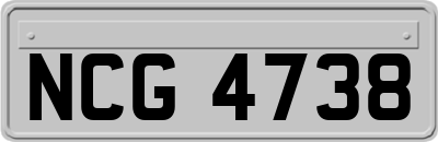 NCG4738