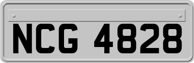 NCG4828