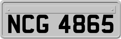 NCG4865