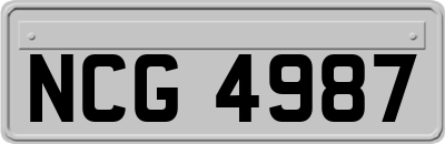 NCG4987