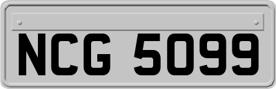 NCG5099