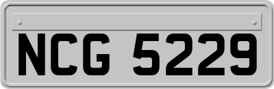 NCG5229