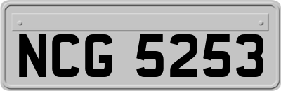 NCG5253