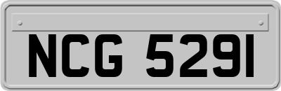 NCG5291