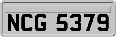 NCG5379