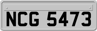 NCG5473