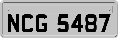 NCG5487