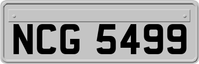 NCG5499