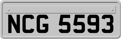 NCG5593