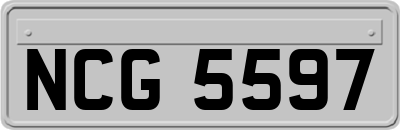 NCG5597
