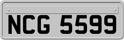 NCG5599