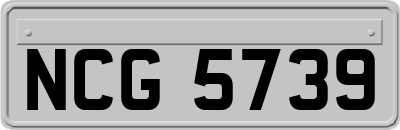 NCG5739