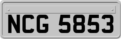 NCG5853