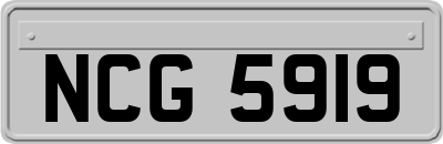 NCG5919