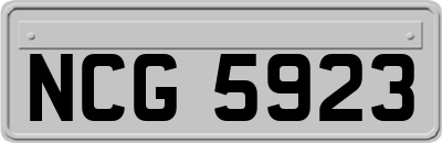 NCG5923