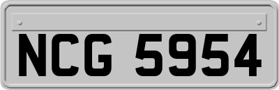 NCG5954