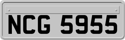 NCG5955