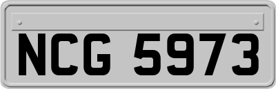 NCG5973