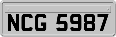 NCG5987