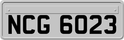 NCG6023
