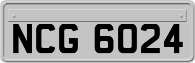 NCG6024
