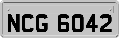 NCG6042