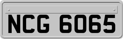 NCG6065