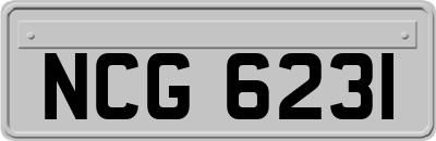 NCG6231
