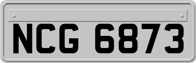 NCG6873