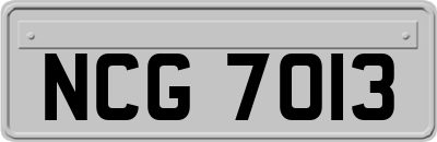 NCG7013