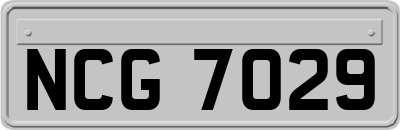 NCG7029