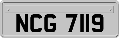 NCG7119