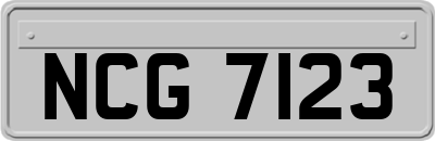 NCG7123