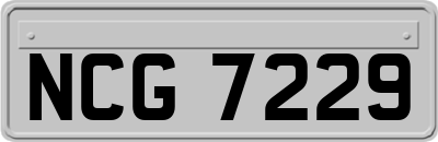 NCG7229
