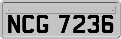 NCG7236