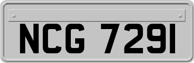 NCG7291
