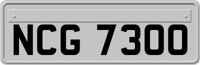 NCG7300